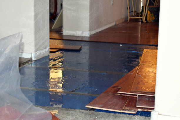 Professional Water Damage technician working in Pinehurst, MA